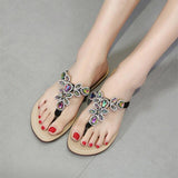 Women's Slippers