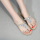 Women's Slippers